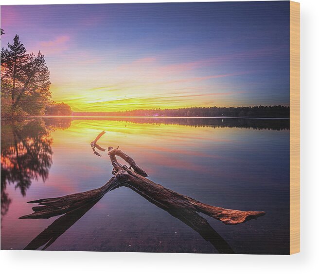 Davis Lake Wood Print featuring the photograph Driftwood At Sunset Davis Lake Mississippi by Jordan Hill