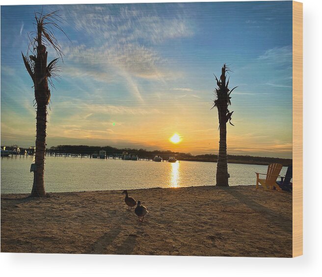 Duck Wood Print featuring the photograph Ducks on the Beach by Chris Montcalmo