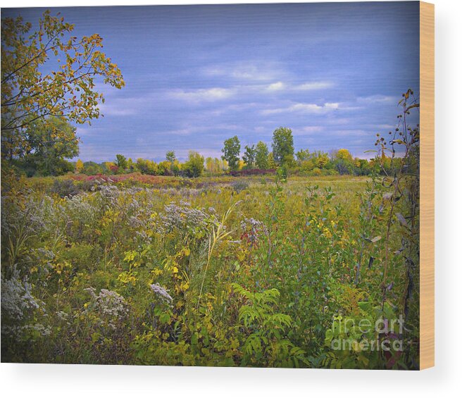 Prairie Wood Print featuring the photograph Early Autumn Prairie Stormy Sky by Frank J Casella