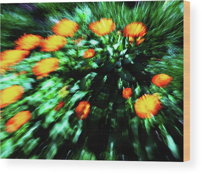 Spring Wood Print featuring the photograph Eveil Du Printemps # 27 by Jorg Becker