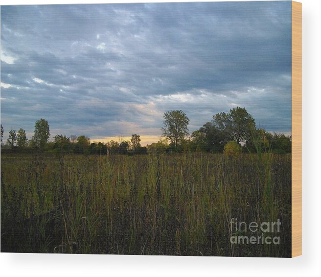 Nature Wood Print featuring the photograph Evening Prairie Clouded Sky - Color - Frank J Casella by Frank J Casella