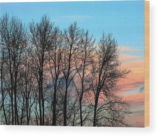 Sundown Wood Print featuring the photograph Eventide by Will Borden