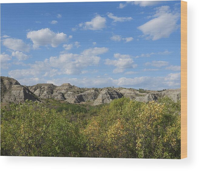 Fall Wood Print featuring the photograph Fall Badlands by Amanda R Wright