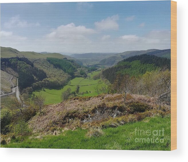 Bwlch Nant Yr Arian Wood Print featuring the photograph Fields in the Valley by Gemma Reece-Holloway