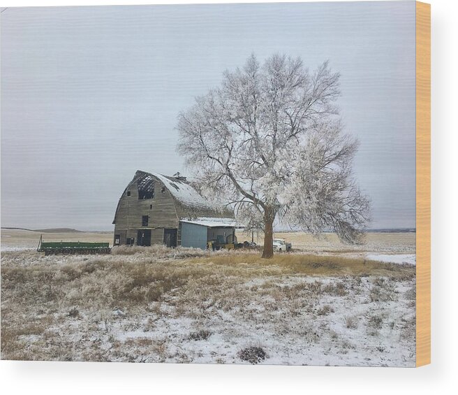 Snow Wood Print featuring the photograph First Snow by Jerry Abbott