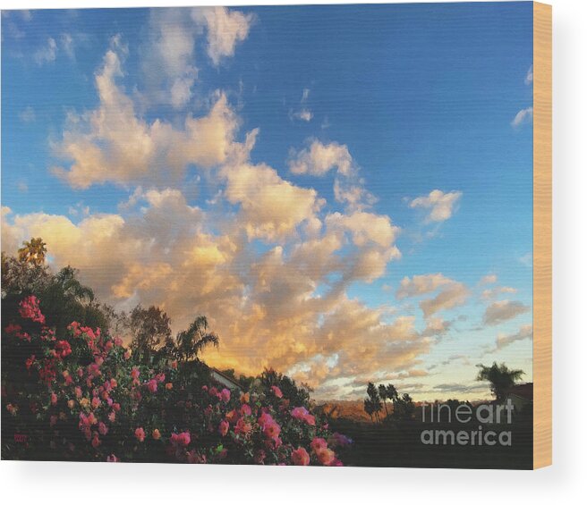 Southern California Wood Print featuring the photograph Floral Sunset by Brian Watt