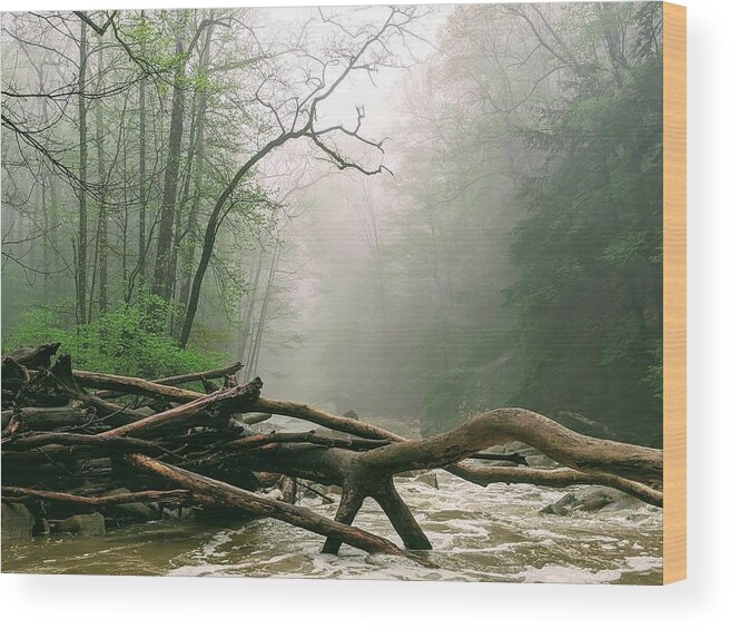 River Wood Print featuring the photograph Foggy River by Brad Nellis