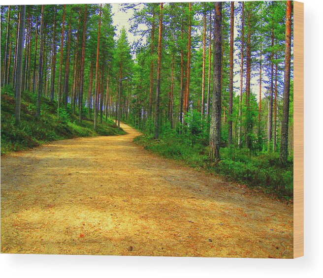 Forest Wood Print featuring the photograph Forest trail by Pauli Hyvonen