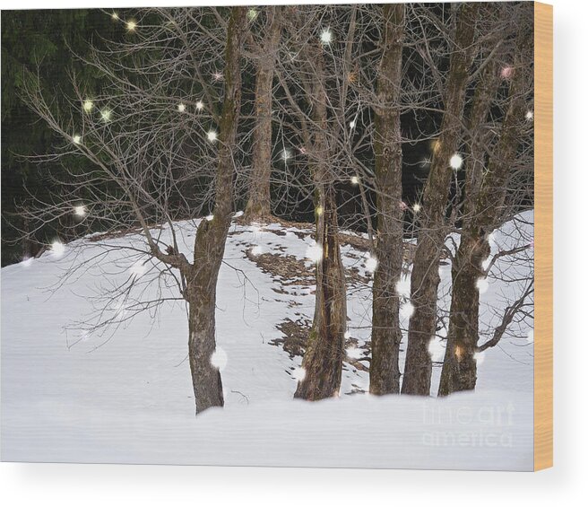 Travel Wood Print featuring the photograph Forest Winter Scene by On da Raks