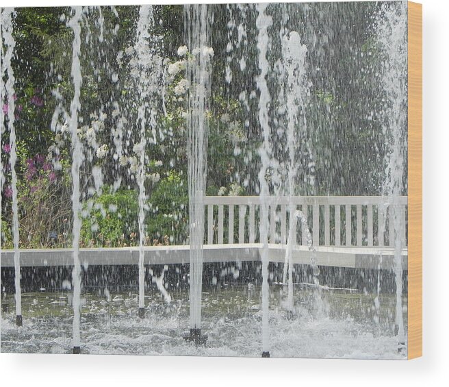  Wood Print featuring the photograph Fountain Spray by John Parry