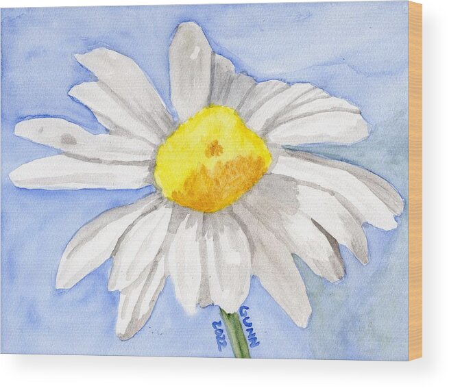 Daisy Wood Print featuring the painting Four Color Daisy watercolor sketch by Katrina Gunn