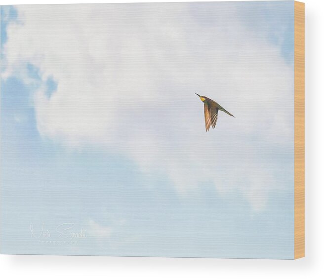 Bee-eater Wood Print featuring the photograph Freedom by Meir Ezrachi