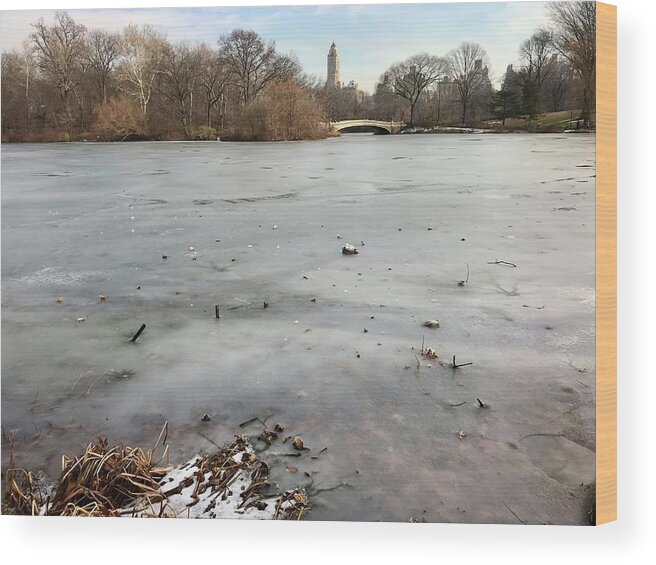  Wood Print featuring the photograph Frozen Lake, NYC in December by Judy Frisk