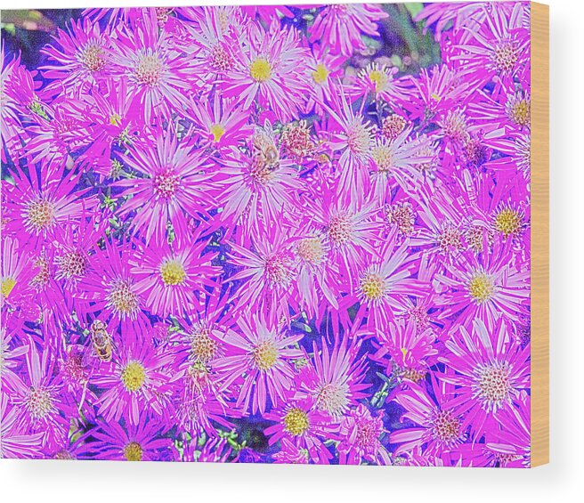 Pacific Northwest Wood Print featuring the digital art Fuchsia Flowers On Blue by David Desautel