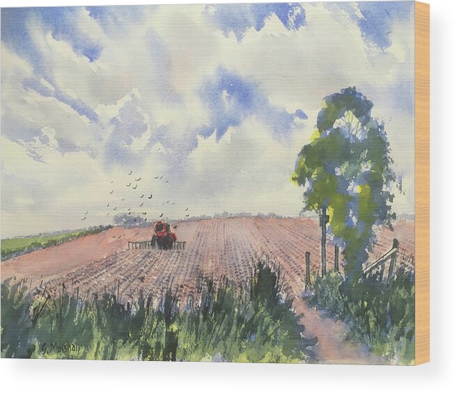 Watercolour Wood Print featuring the painting Furrows and Gulls by Glenn Marshall