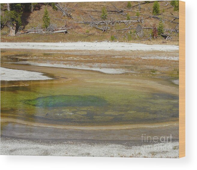 Yellowstone National Park Wood Print featuring the photograph Geyser Pool by Milena Boeva