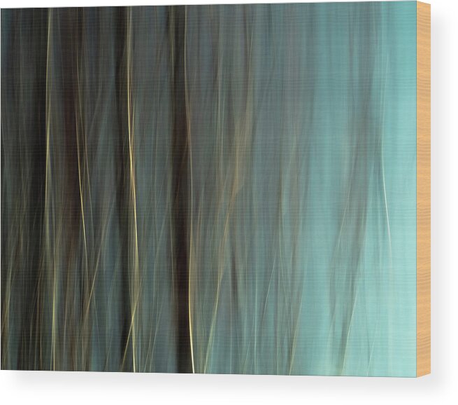 Abstract Wood Print featuring the photograph Gold Lines by Dutch Bieber