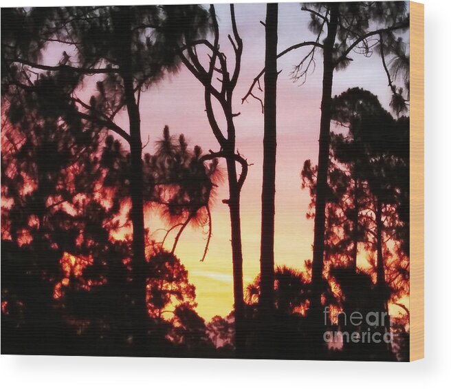 Photograph Wood Print featuring the photograph Good morning by Chrisann Ellis