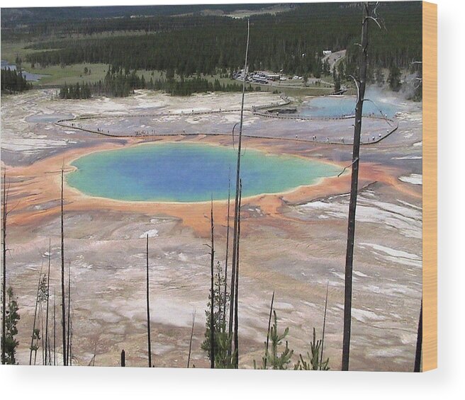 Grand Wood Print featuring the photograph Grand Prismatic Spring by Carl Moore