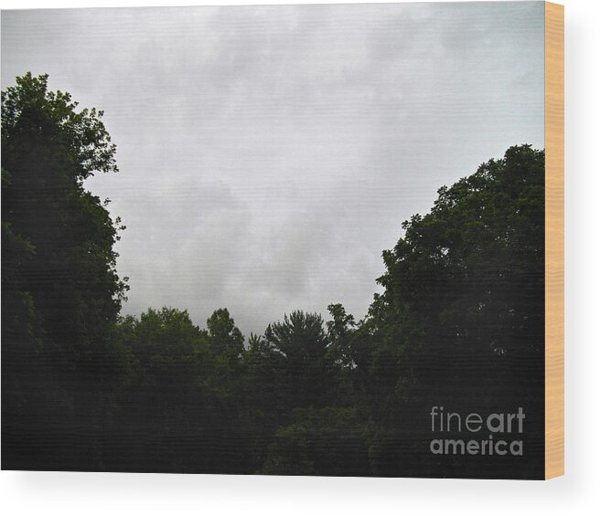 Landscape Wood Print featuring the photograph Green Tree Line Under The Stormy Clouds by Frank J Casella
