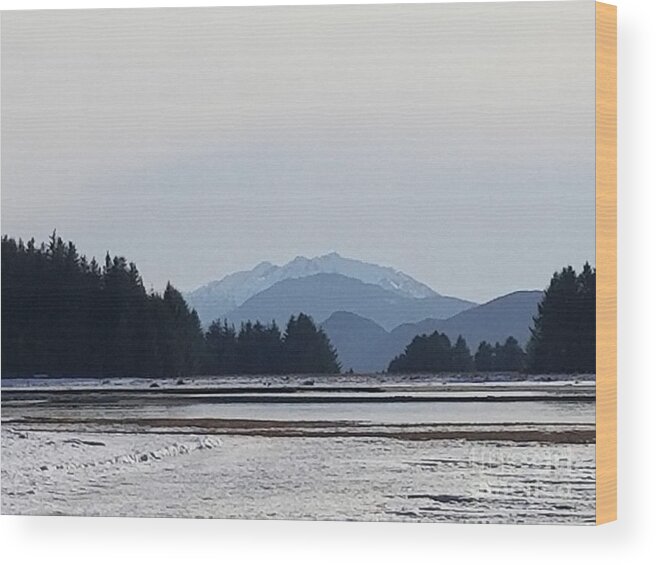 #juneau #alaska #ak #tours #cruise #boyscoutcamp #eaglebeach #vacation #winter #cold #shading #sherlterisland #admiraltyisland Wood Print featuring the photograph Greyscale by Charles Vice