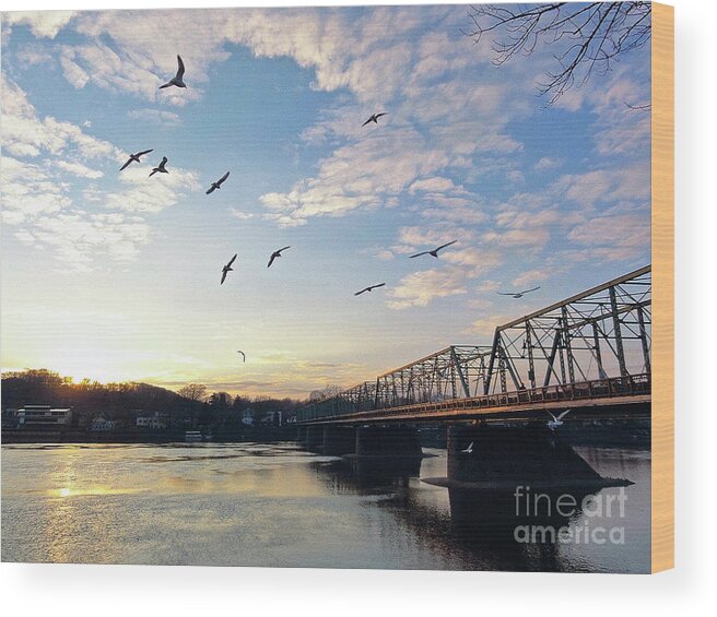 +pixels Wood Print featuring the photograph Gulls at the Bridge #2 by Christopher Plummer