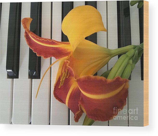 Lily Wood Print featuring the photograph Happy Lily on Keyboard by Catherine Wilson