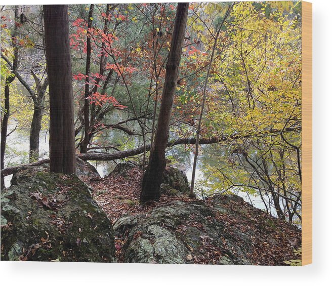 Haw River Wood Print featuring the photograph Haw River Bluff in fall by Shirley Galbrecht