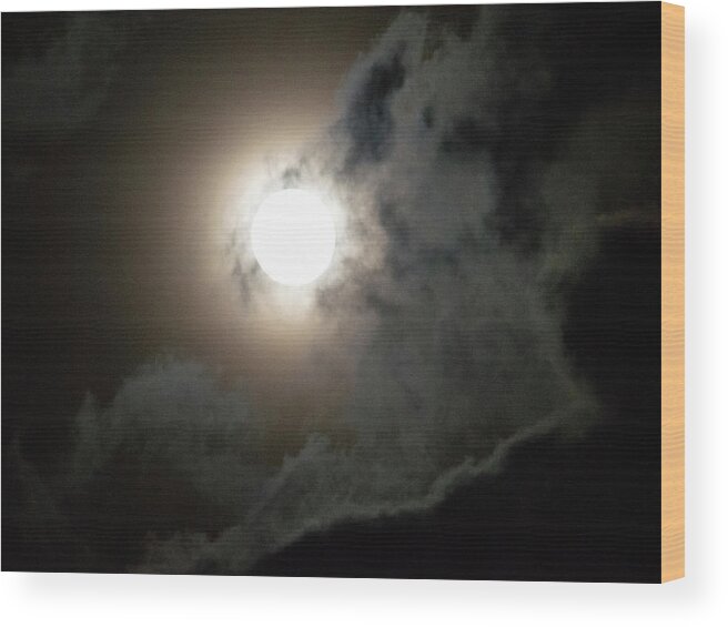 Full Moon Wood Print featuring the photograph Howling at the Moon by Susie Loechler