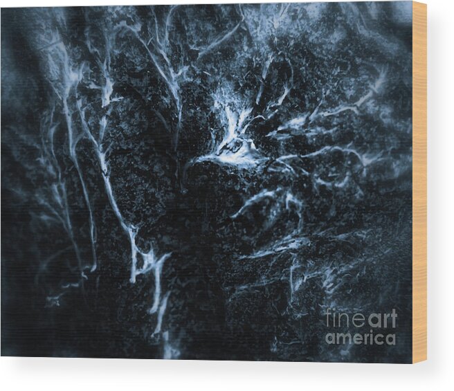 Hushed Wood Print featuring the photograph Hushed by Mimulux Patricia No