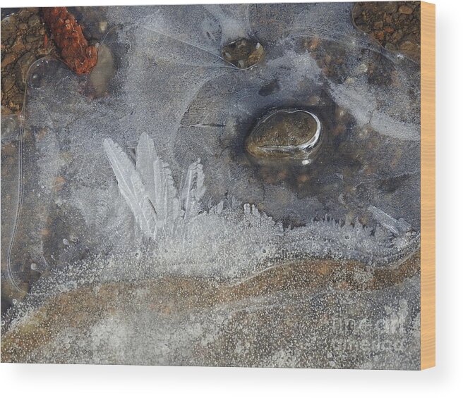 Ice Wood Print featuring the photograph Ice Feathers by Nicola Finch