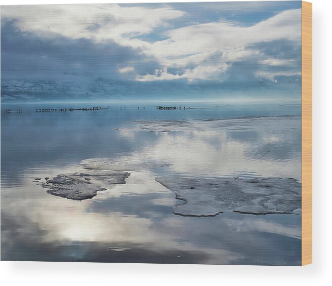 Landscape Wood Print featuring the photograph Ice Floes and Gulls by Allan Van Gasbeck