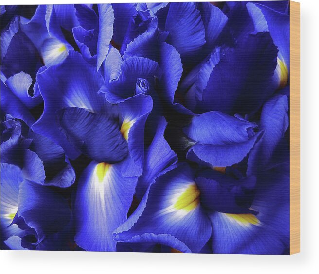  Iris Wood Print featuring the photograph Iris Abstract by Jessica Jenney