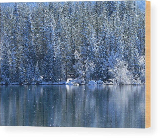 Photograph Wood Print featuring the photograph Jenkinson Lake in Snow by Beverly Read