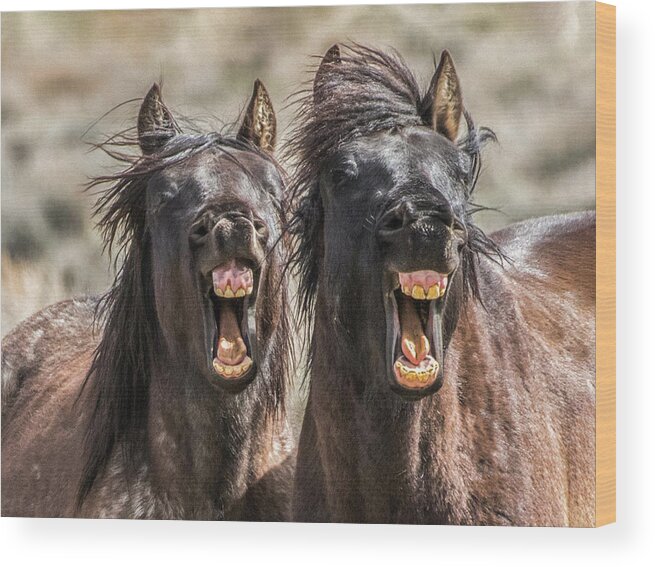 Horses Wood Print featuring the photograph Jt732834 by John T Humphrey