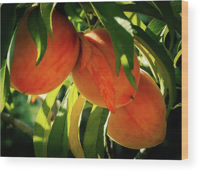 Landscape Wood Print featuring the photograph Juicy Fruit by Gena Herro