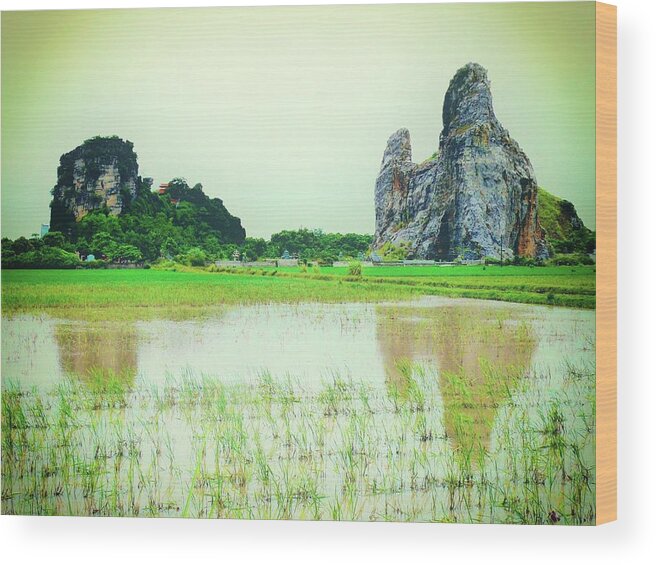 Karst Wood Print featuring the photograph Karst mountain and paddy field by Robert Bociaga