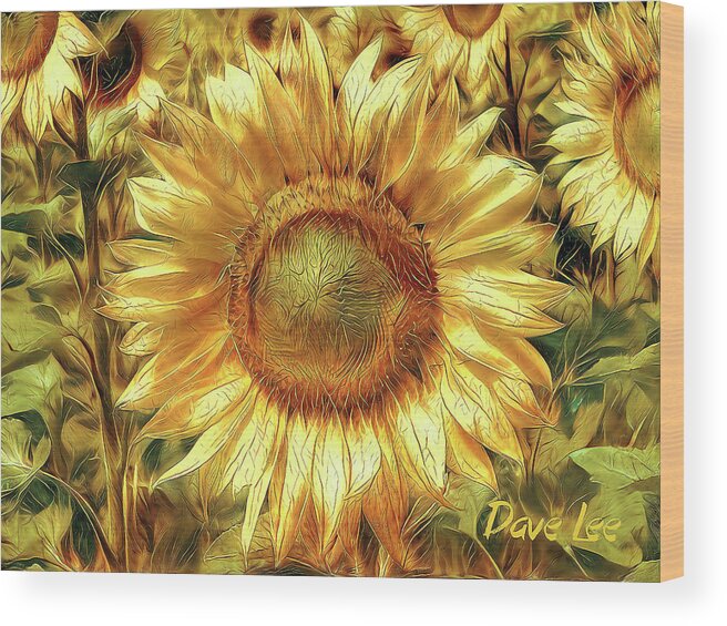 Sunflower Wood Print featuring the digital art Kissed by the Sun by Dave Lee