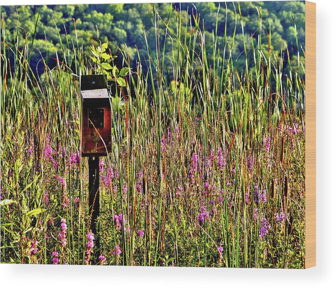 Lake Winona Wood Print featuring the photograph Lake Home by Susie Loechler