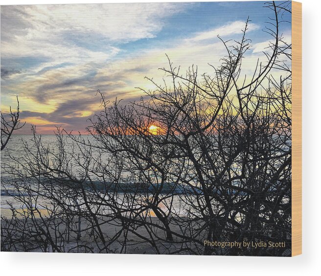 Susan Molnar Wood Print featuring the photograph Late Winter Sunset - Edited in Lightroom by Susan Molnar