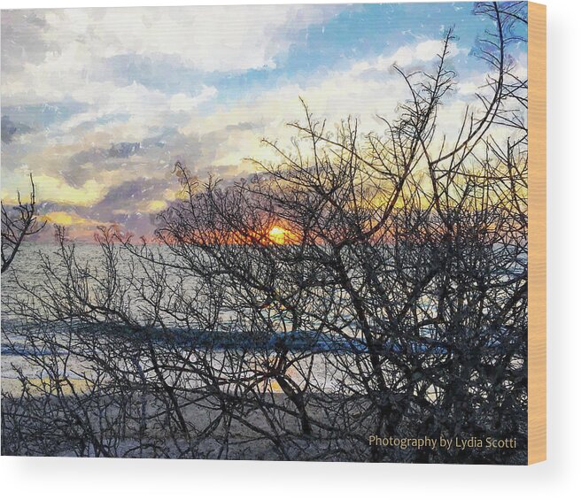 Susan Molnar Wood Print featuring the photograph Late Winter Sunset WC10-1 by Susan Molnar
