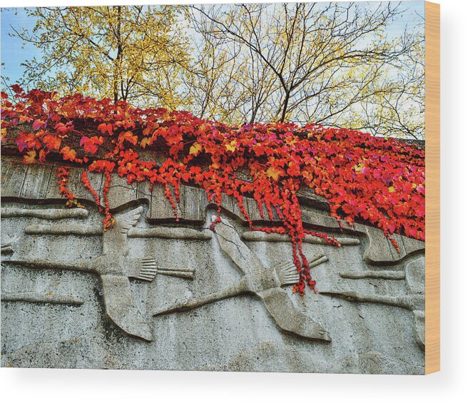 Fall Colors Wood Print featuring the photograph Leaves at the Levee by Susie Loechler