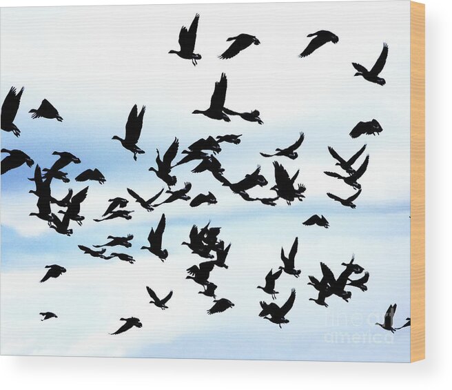 Geese Wood Print featuring the photograph Let's Go by Scott Cameron