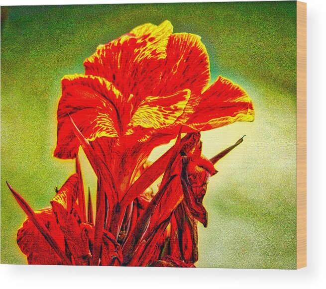 Orange Lily Wood Print featuring the photograph Lily by Linda James