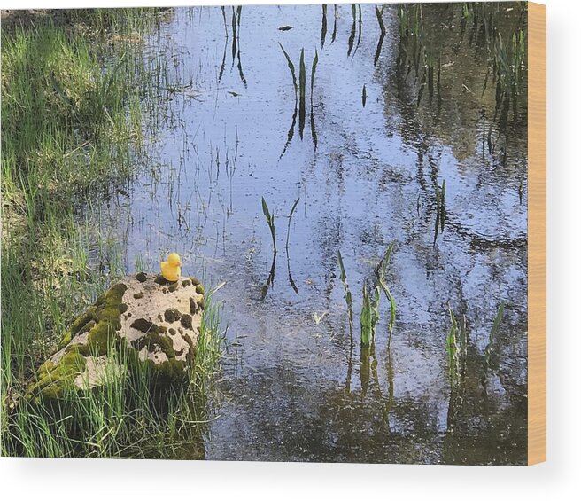 Rubber Duck Wood Print featuring the photograph Little Ducky by Vivian Aumond
