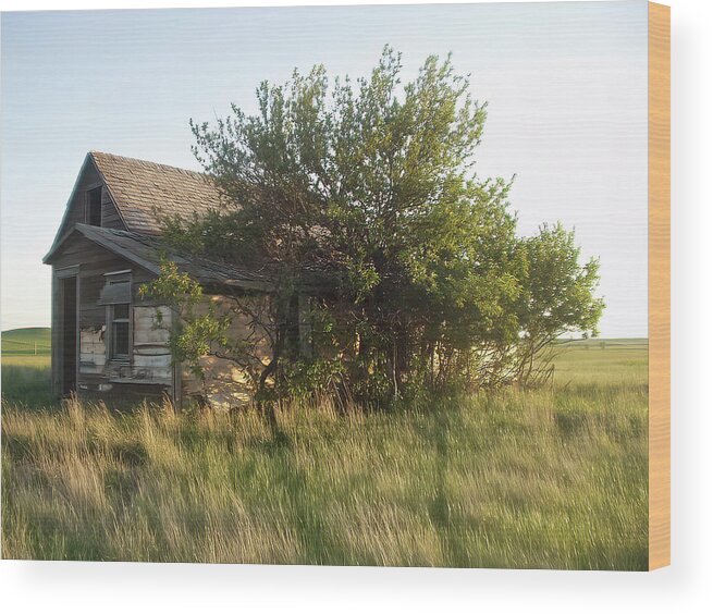 Farmhouse Wood Print featuring the photograph Little House on the Prairie 1 by Cathy Anderson