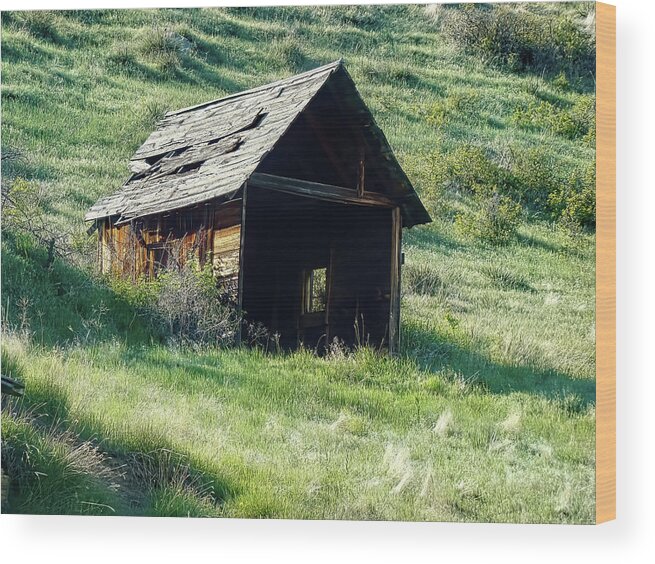 Barn Wood Print featuring the photograph Little Wooden Shed by Cathy Anderson