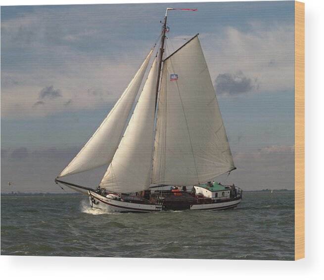 Photography Wood Print featuring the photograph Loyal Winds by Luc Van de Steeg
