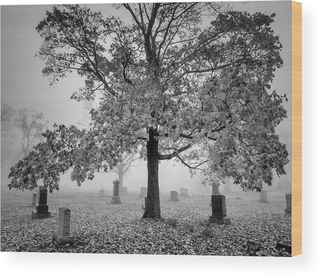 Black And White Wood Print featuring the photograph Mayflower Hill III BW by David Gordon