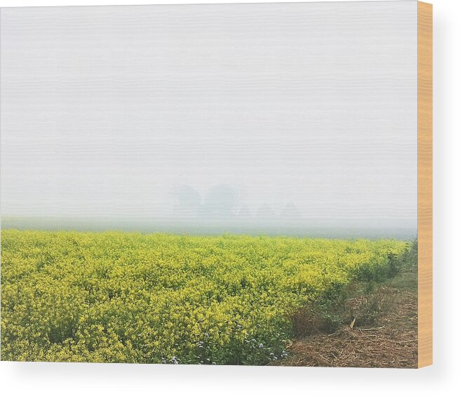 Acres Of Mustard Fields Wood Print featuring the photograph Milk and mustard by Jarek Filipowicz